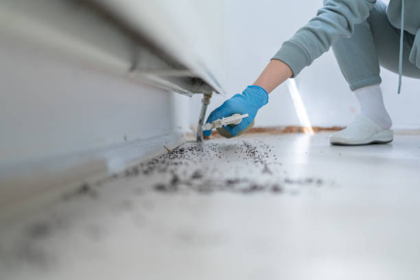 Best Pest Prevention Services  in Sand Hill, PA